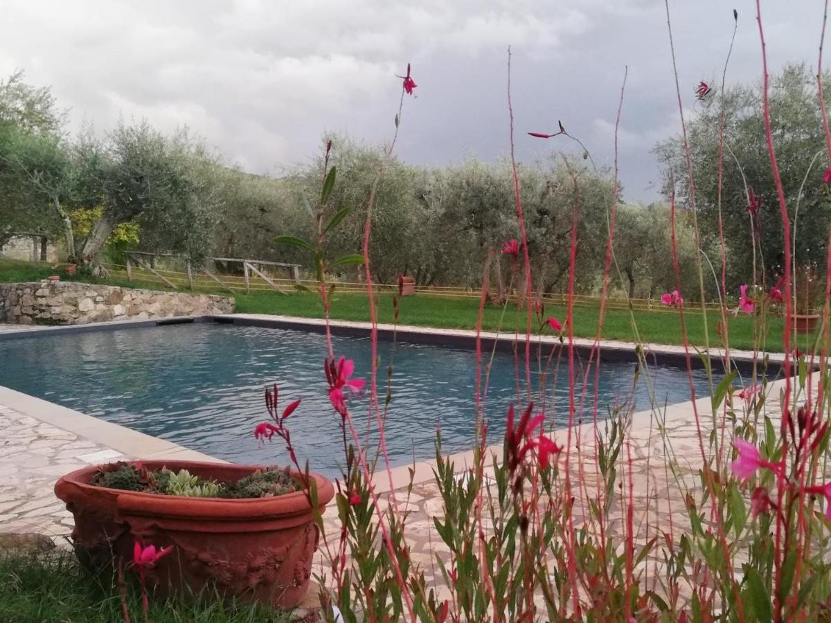 הוילה גאיולה אין קיאנטי Campo Al Sole מראה חיצוני תמונה